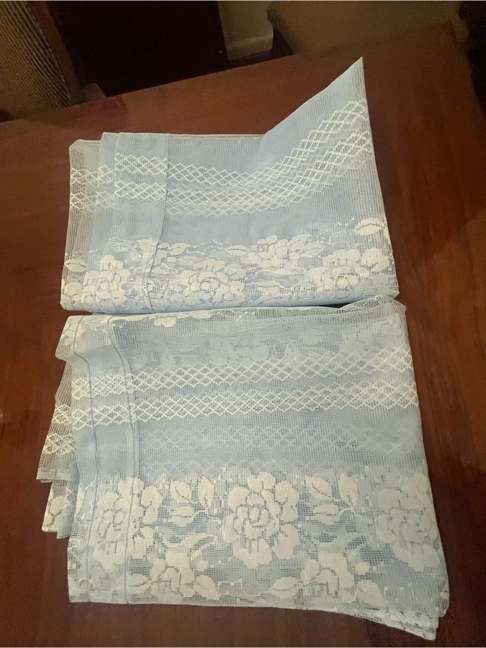 Light Blue Sheer Mesh Fabric Panel/ Curtain (2)